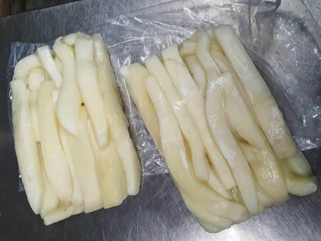 The Squid